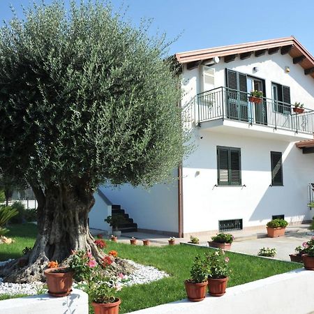 B&B Cascina Fiorita Santa Maria La Carità Kültér fotó
